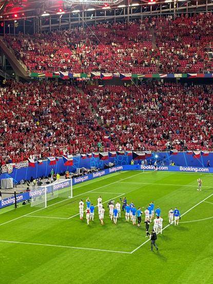 1718758119447098646.jpg 9.jpg