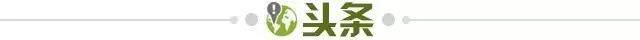 1650820551902034837.jpg 头条.jpg